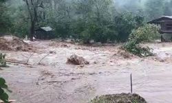Artvin’de sağanak yağış sele neden oldu