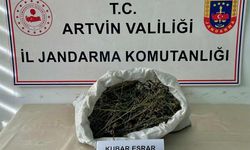 Artvin’de uyuşturucu operasyonu