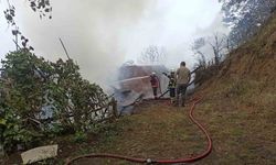 Artvin’de yangın paniği: 4 ev küle döndü