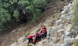 Avustralyalı turistin cesedi tarihi Likya Yolunda bulundu