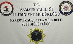 Bafra’da 33 kök Hint keneviri ele geçirildi