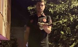 Batman’da ağaçta asılı kalan güvercin itfaiye ekiplerince kurtarıldı