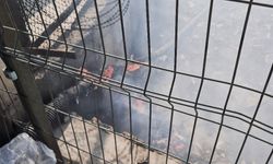 Bayrampaşa Metris Cezaevi’nin yanındaki otluk alanda korkutan yangın