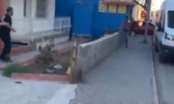Bıçaklandıktan sonra duvardan atlayıp kaçmaya çalıştı: O anlar kameraya yansıdı