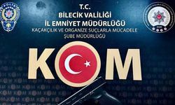 Bilecik’te ruhsatsız silah operasyonu