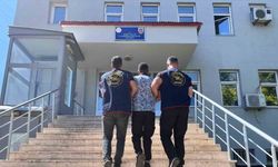 Bingöl’de kesinleşmiş hapis cezası bulunan şahıs yakalandı