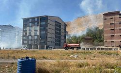 Bitlis’te çıkan yangın ağaçlara zarar verdi