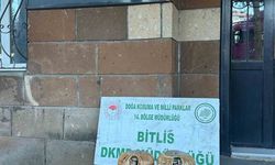 Bitlis’te kaçak keklik avına 101 bin 710 lira para cezası