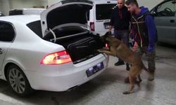 Bolu’da kaçakçılık operasyonunda 6 gözaltı