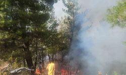 Buldan’daki orman yangınına havadan müdahale başladı