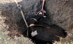 Burdur’da kuyuya düşen inek 2 saatlik çalışmayla kurtarıldı
