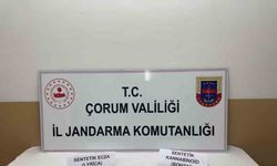 Çorum’da uyuşturucuyla yakalanan 2 şüpheli gözaltına alındı