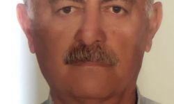DEAŞ görüşlerini benimsemiş aile tarafından öldürülen servis şoförü olayıyla ilgili yeni detaylar ortaya çıktı