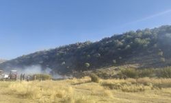 Diyarbakır’da anız yangını ormanlık alana sıçradı