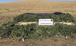 Diyarbakır’da uyuşturucu operasyonu: 28 şüpheli hakkında işlem yapıldı