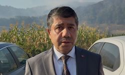 Düzce’deki orman yangını 6. saatinde: Havadan ve karadan müdahale sürüyor