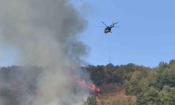 Düzce’deki orman yangınına helikopter ve 20 araçla müdahale sürüyor