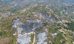 Düzce’deki yangının boyutu havadan görüntülendi