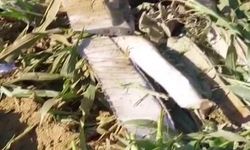 Eğitim amaçlı havalanan bir helikopter, İzmir’in Torbalı ilçesine bağlı Kırbaş Mahallesi’nde mısır tarlasına düştü. Olayda 1 pilot hayatını kaybetti.