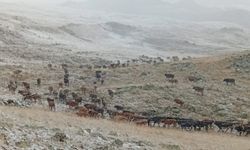 Erzurum’da yüksek kesimlere kar yağdı