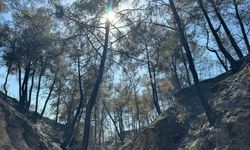 Evini yangından korumak için mücadele ederken kalp krizi geçirdi