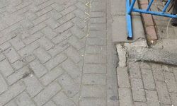 Gaziosmanpaşa’da ağızlıksız gezdirilen pitbull başka köpeğe saldırdı