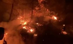 Gazipaşa’da ormanlık alanda yangın