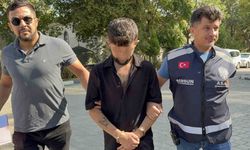 Geceleyin kamyonun kornasını çalan şahıs tutuklandı