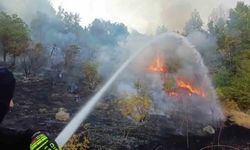 Hakkari’de 3 farklı bölgede çıkan yangın itfaiye ekiplerince söndürüldü