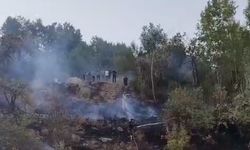 Hakkari’de ormanlık alanda yangın