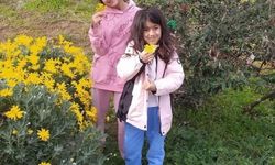 İki kardeşin hayatını kaybettiği kazada, çocuk sürücünün babasına 12 yıl hapis cezası verildi
