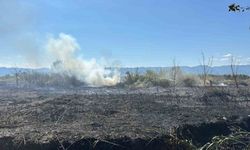 İznik Boyalıca’da sazlık alanda yangın!