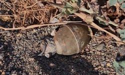 İznik Gölü kıyısında el bombası paniği