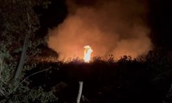İznik’te korkutan yangın