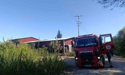 Kamışlık alanda başlayan yangın gıda toptancı deposuna sıçradı