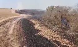 Kapaklı’da çıkan yangında 8 dönüm arazi kül oldu