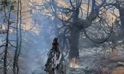 Karaman’da çıkan örtü yangını ağaçlık alana sıçradı