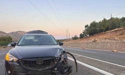 Karayoluna çıkan sürüye otomobil çarptı
