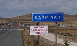 Kars’ta kuduz vakası: Bir belde karantinaya alındı
