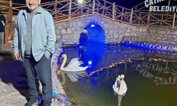 Kastamonu’da incir ağacında düşen vatandaş hayatını kaybetti