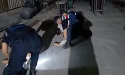 Konteynere iklimlendirme sistemi kurup uyuşturucu yetiştirdiler