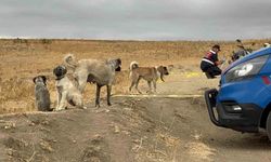 Köpek tartışmasında komşusunu öldüren zanlı tutuklandı
