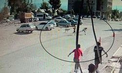 Köpeklerden kaçarken yere yığılan çocukların yardımına vatandaşlar yetişti