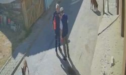 "Köpeklerimi sen mi şikayet ettin" diyerek yaşlı adamı tekme tokat dövdü