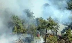 Köyceğiz Otmanlar yangını devam ediyor