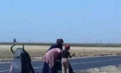 Mardin’de dilenci kadınlar yol ortasında kavga etti