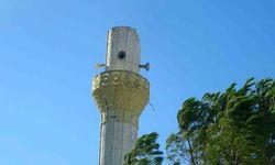 Menteşe’de fırtına minareyi yıktı, ağaçları söktü