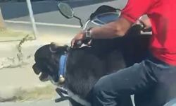 Motosiklet üzerinde köpekle ilerledi: Bakırköy’de tehlikeli yolculuk kamerada