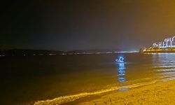 Bursa'da denizde çığlık seslerini duyan sahile koştu