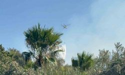 Muğla’da ekipler 3 bölgede alevlerle mücadele ediyor